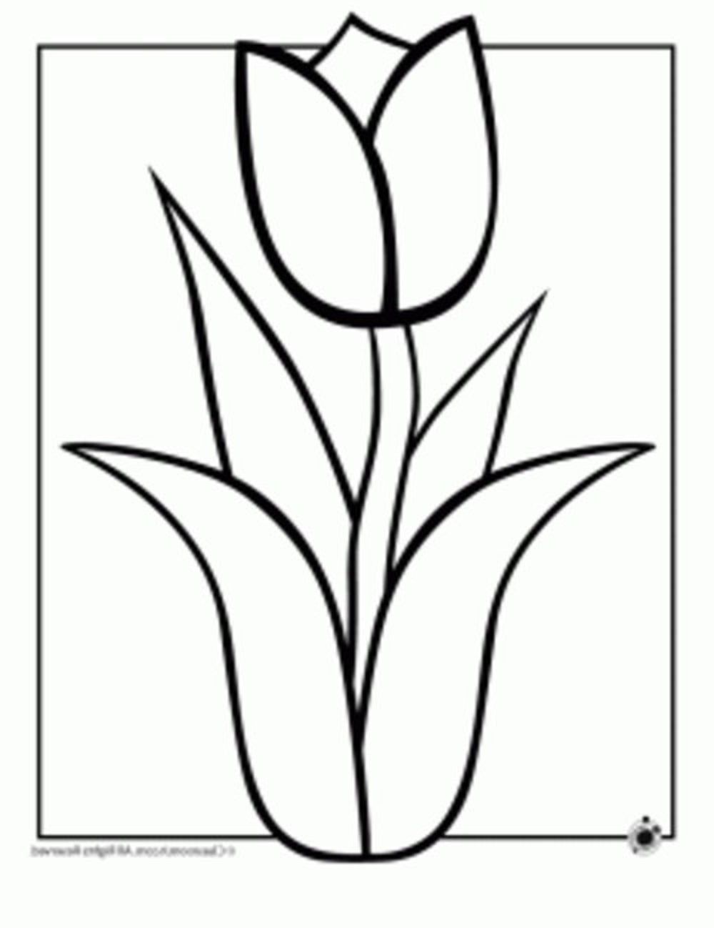 printable-easy-coloring-pages-for-seniors-clip-art-library