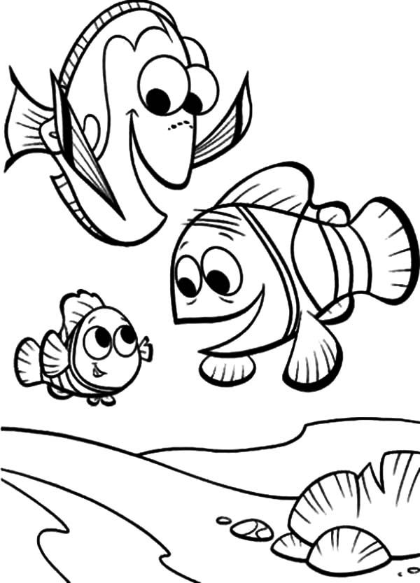 Free Clownfish Coloring Page Download Free Clip Art Free Clip Art On Clipart Library