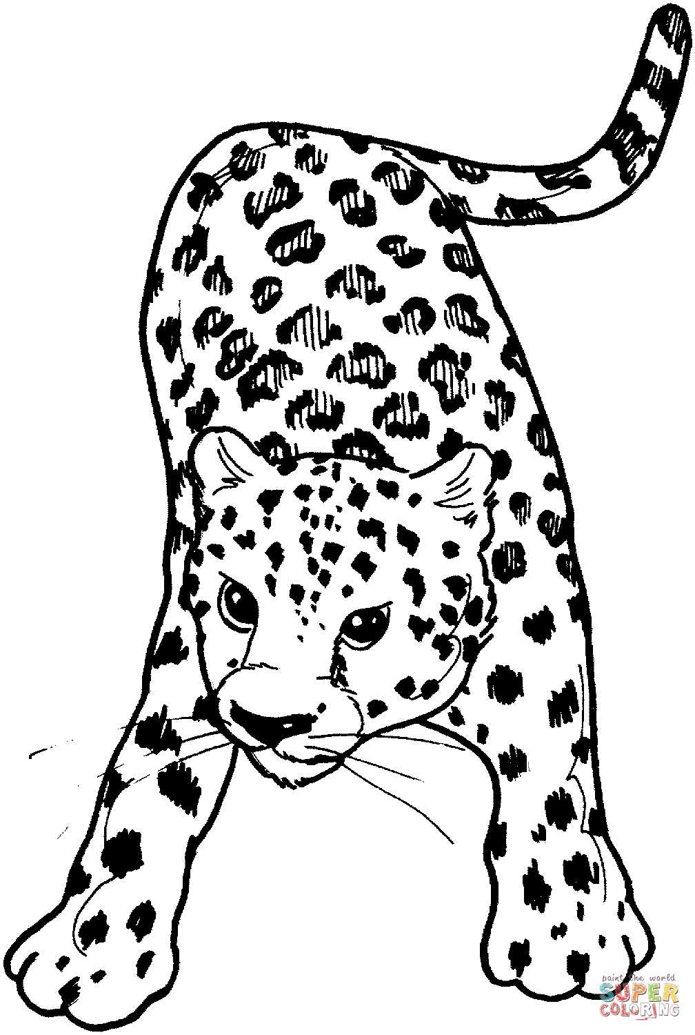 Leopard 15 coloring page | Free Printable Coloring Pages