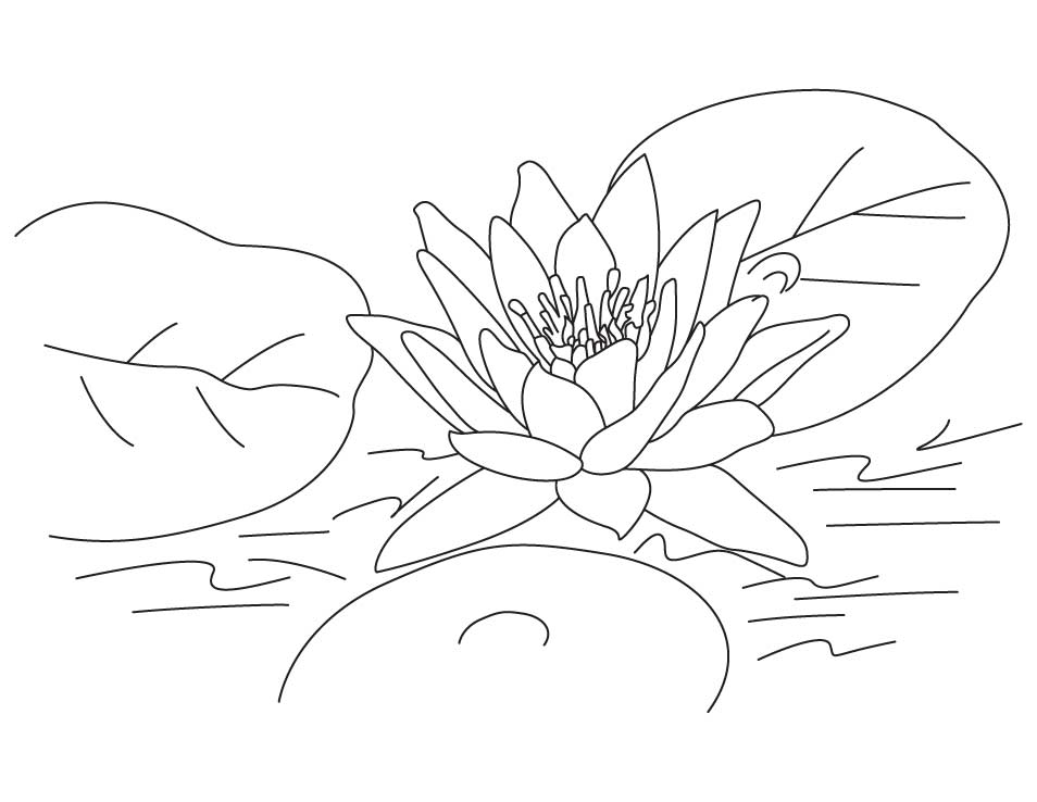 Featured image of post Easy Lotus Flower Coloring Page