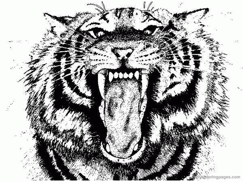 tigers-coloring-pages-coloring-kids-coloring-kids