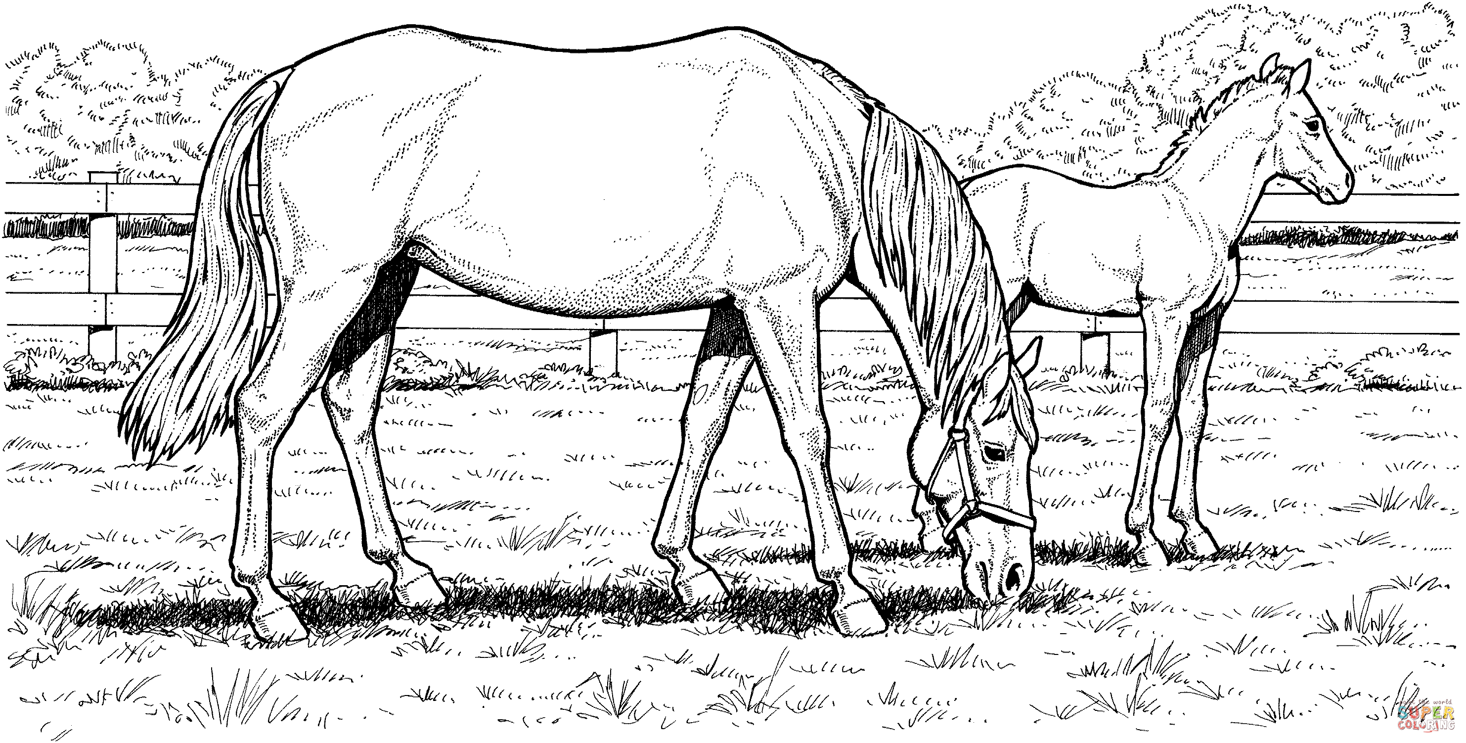 Free Horse Coloring Pages Hard Download Free Clip Art Free Clip Art 