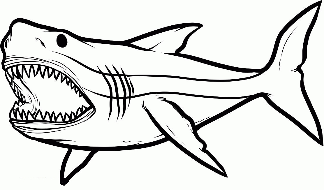 Free Free Shark Coloring Pages To Print, Download Free Free Shark