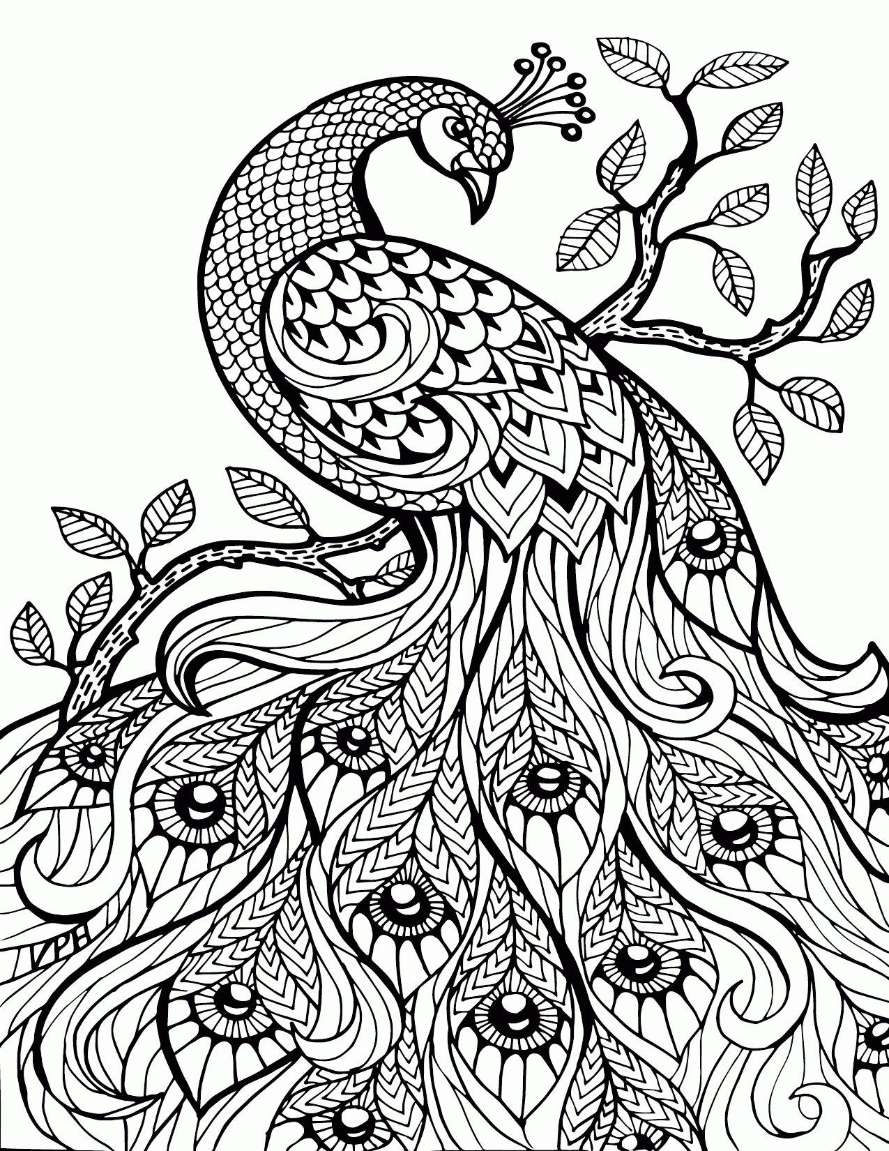 free printable coloring pages for adults only pdf   Clip Art Library