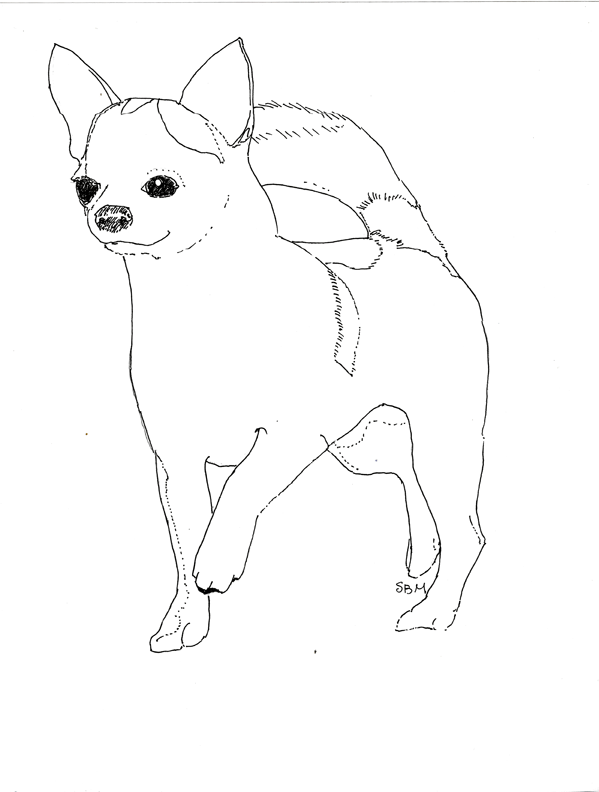 Chihuahua Coloring Pages - Carinewbi