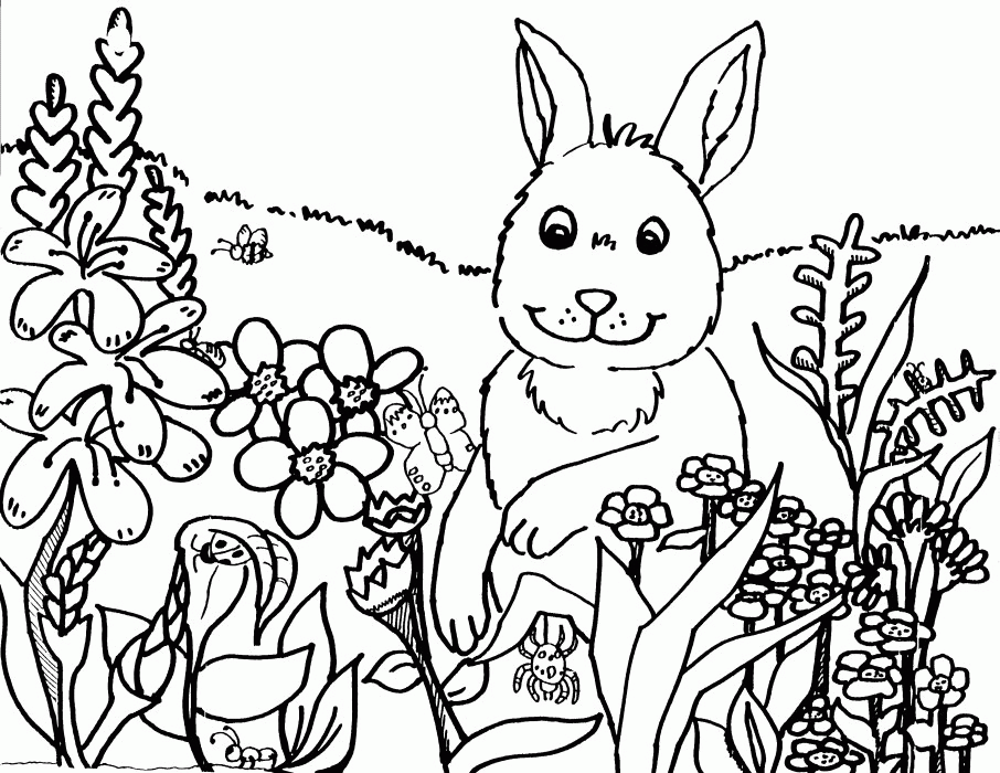 Springtime Coloring Pages  