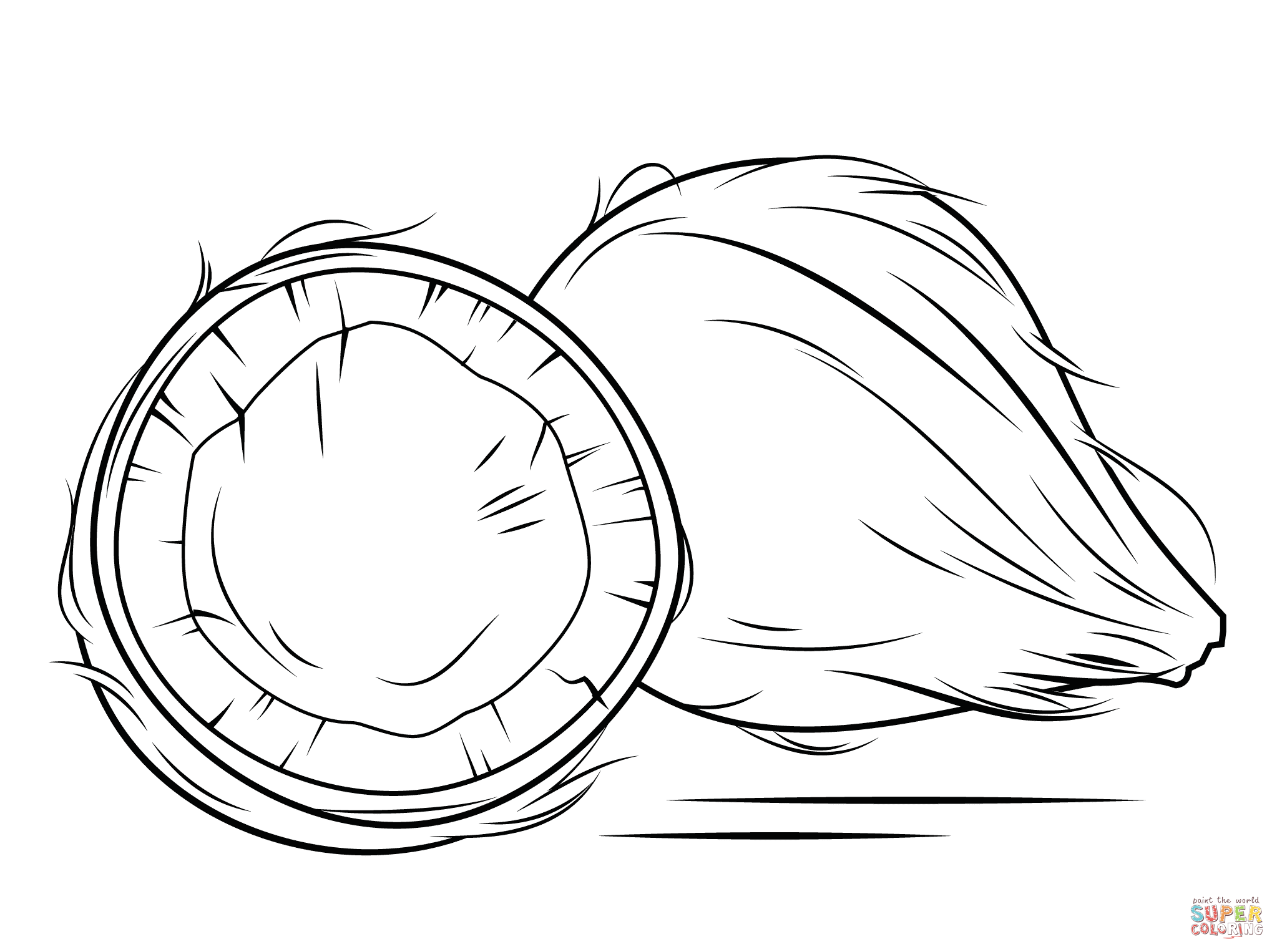 Free Coconut Coloring Page Download Free Coconut Coloring Page Png