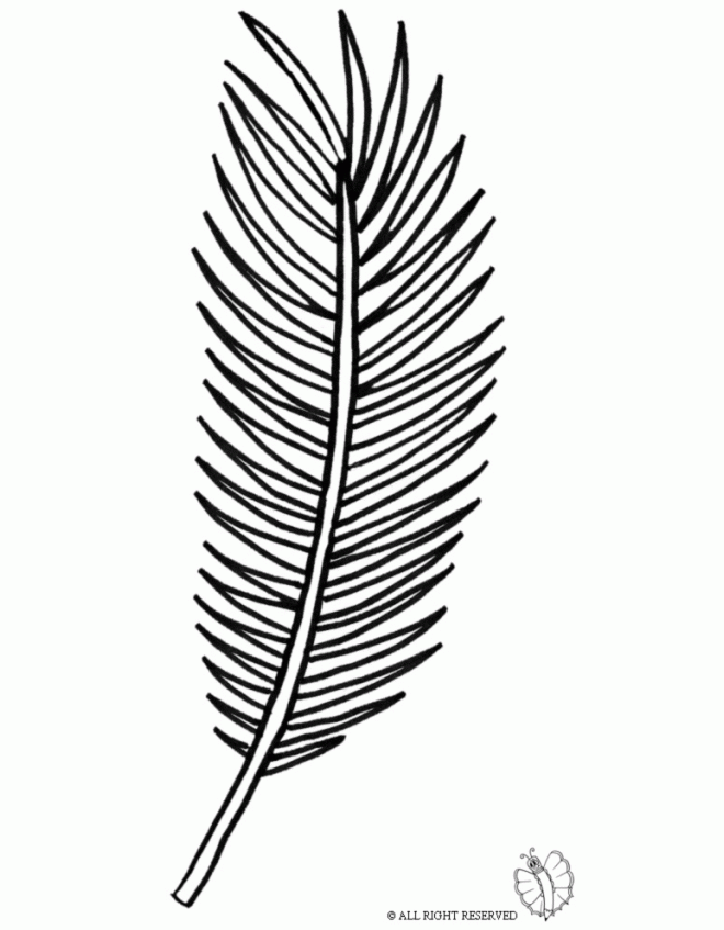 Coloring Page of Palm Leaf for coloring for kids |Free coloring on Clipart Library