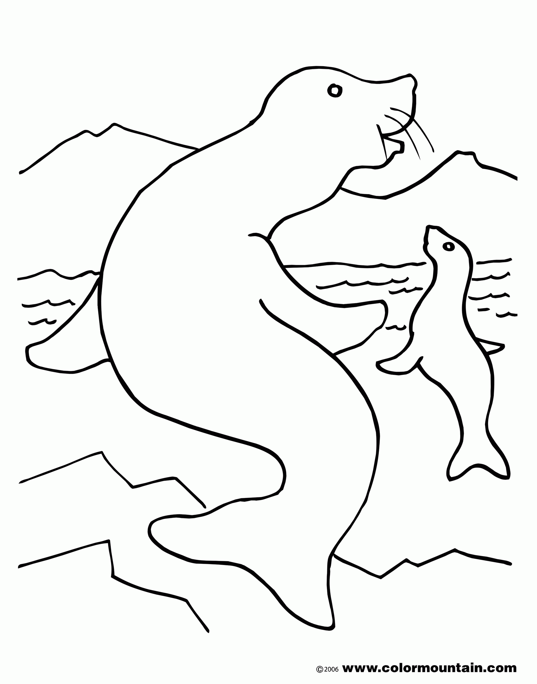 Swimming Seal Color Sheet - Create A Printout Or Activity