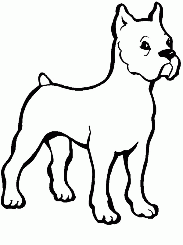 Bulldogs | Coloring Pages for Kids and for Adults