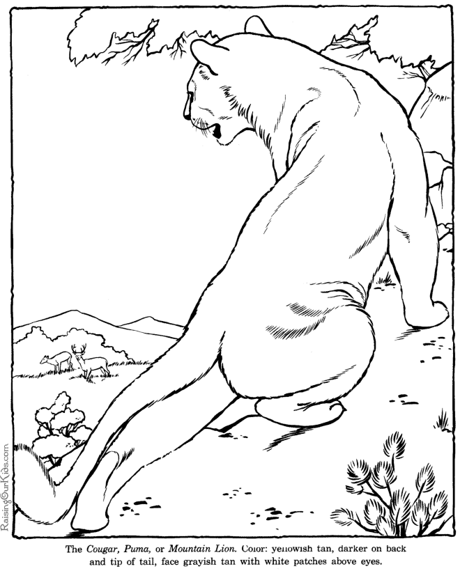 Mountain Pictures: Mountains Coloring Page