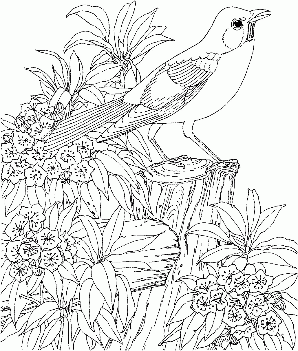 coloring pages for teenagers difficult mermaid 