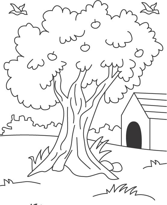 Free Coloring Pages Apple Tree | Coloring pages