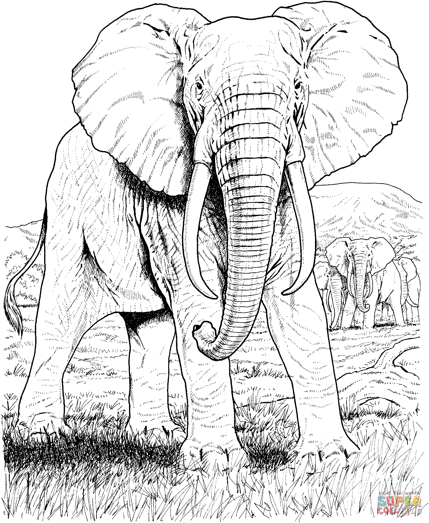 Free African Safari Animals Coloring Pages, Download Free African