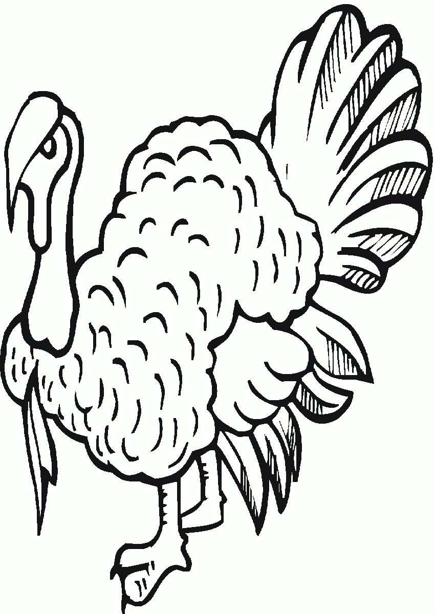 Turkey Coloring Pages | Best Coloring Page Site