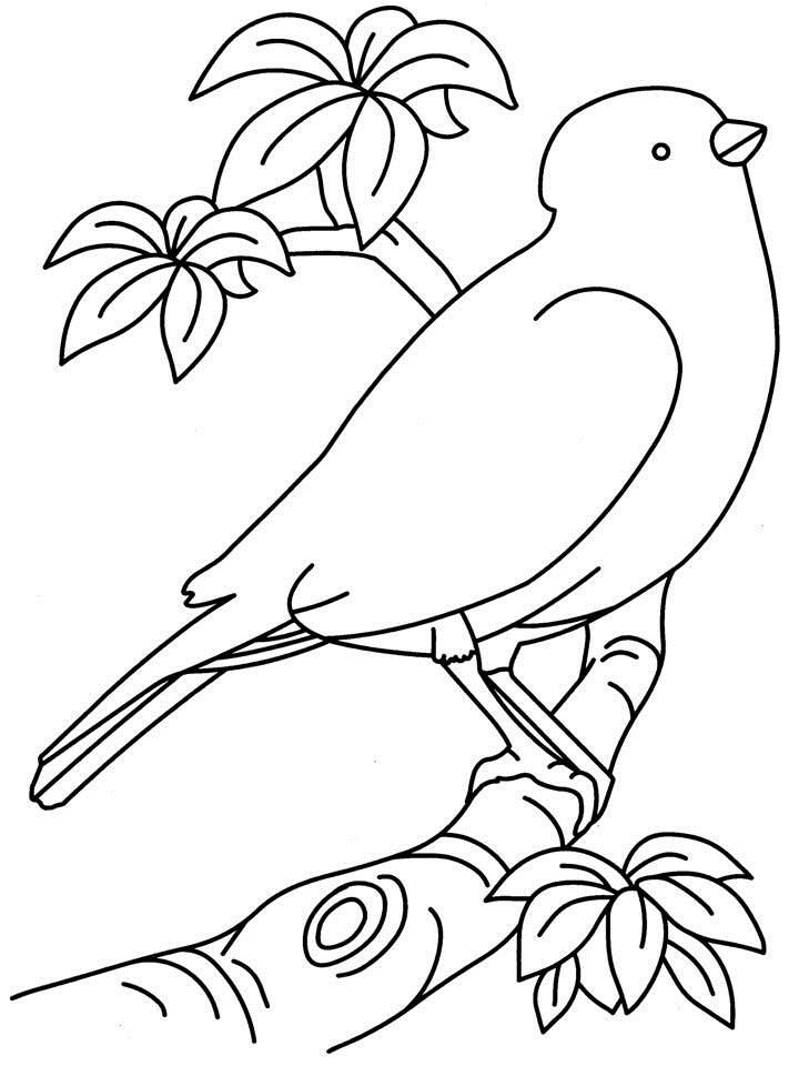 Free Printable Bird Drawings
