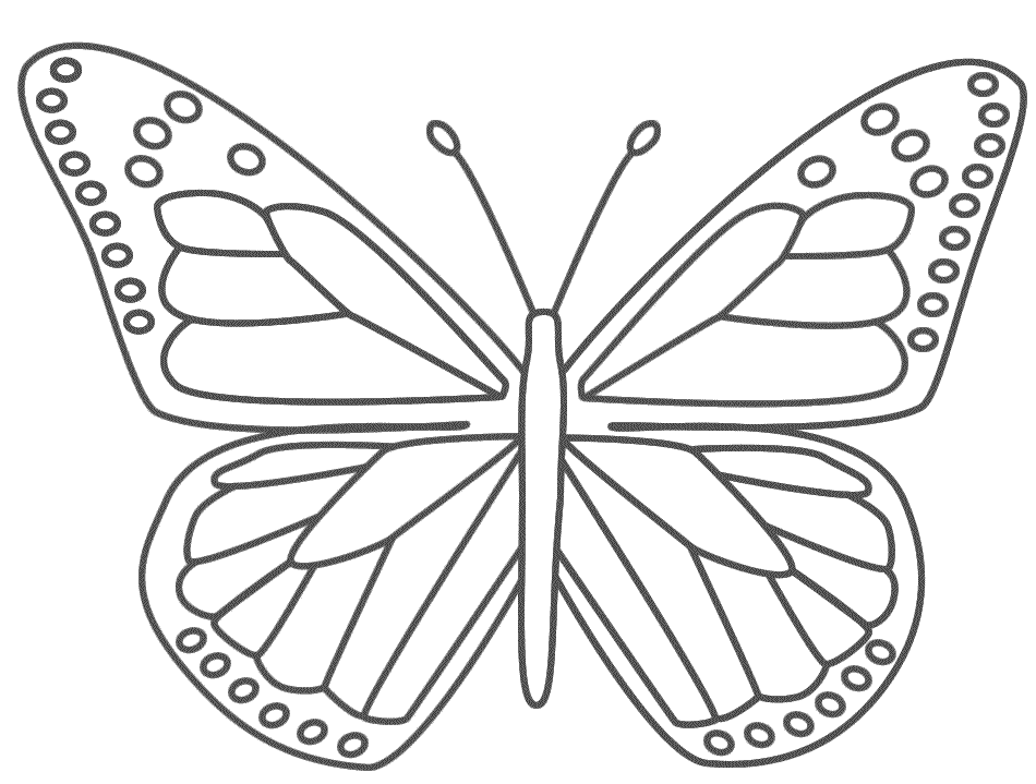 Monarch Butterfly - Coloring Page 