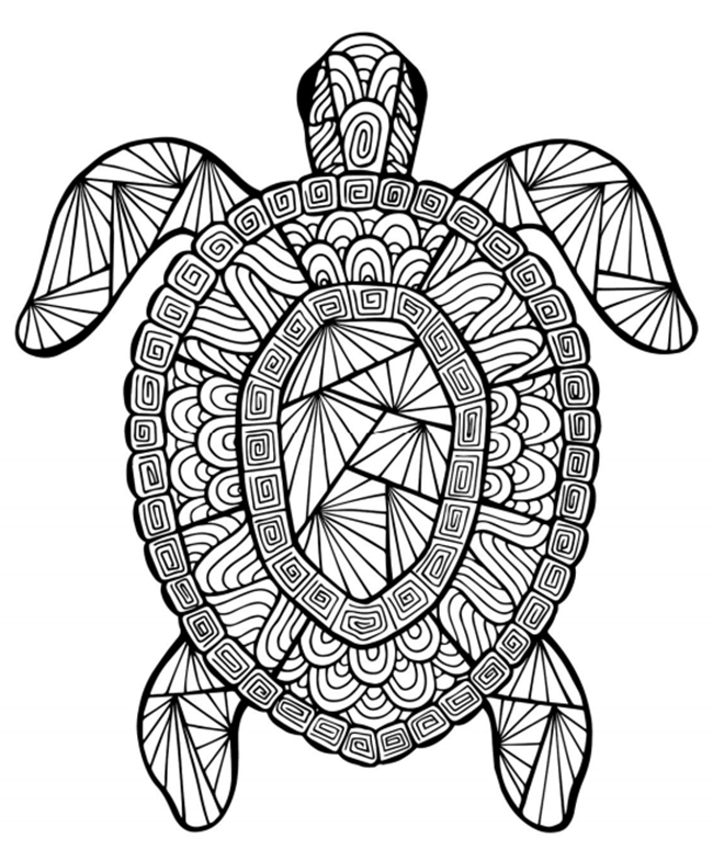 Free Printable Adult Coloring Pages for Summer