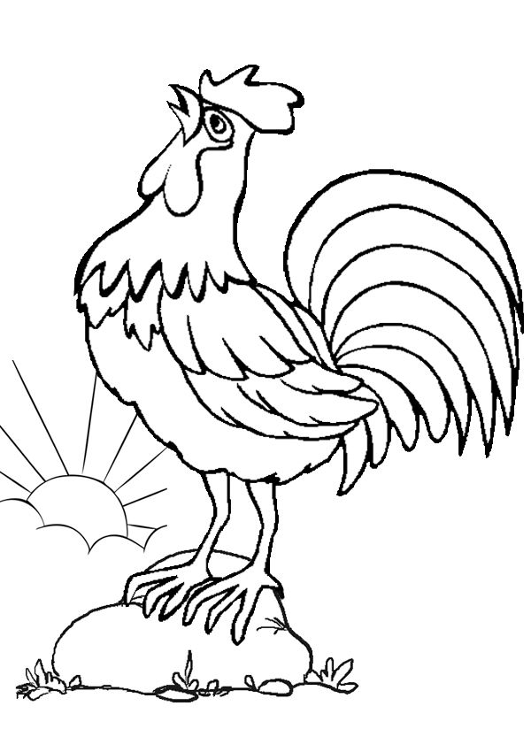 Rooster Coloring Page : Coloring - Kids Coloring Pages