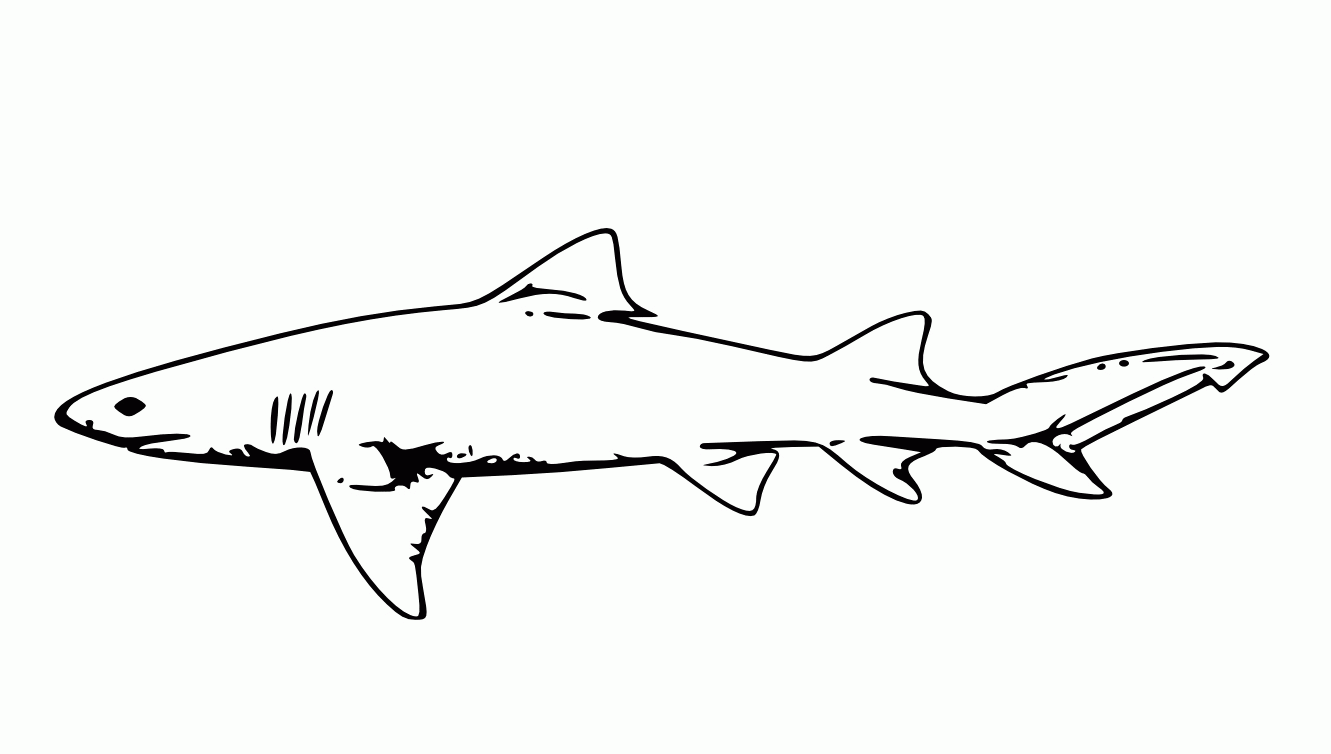 free-free-printable-shark-coloring-pages-download-free-free-printable