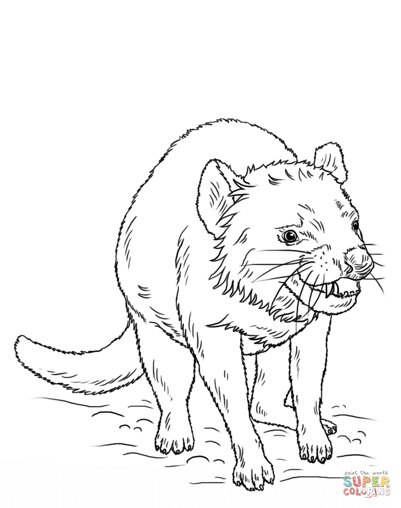 Tasmanian devil coloring pages | Free Coloring Pages