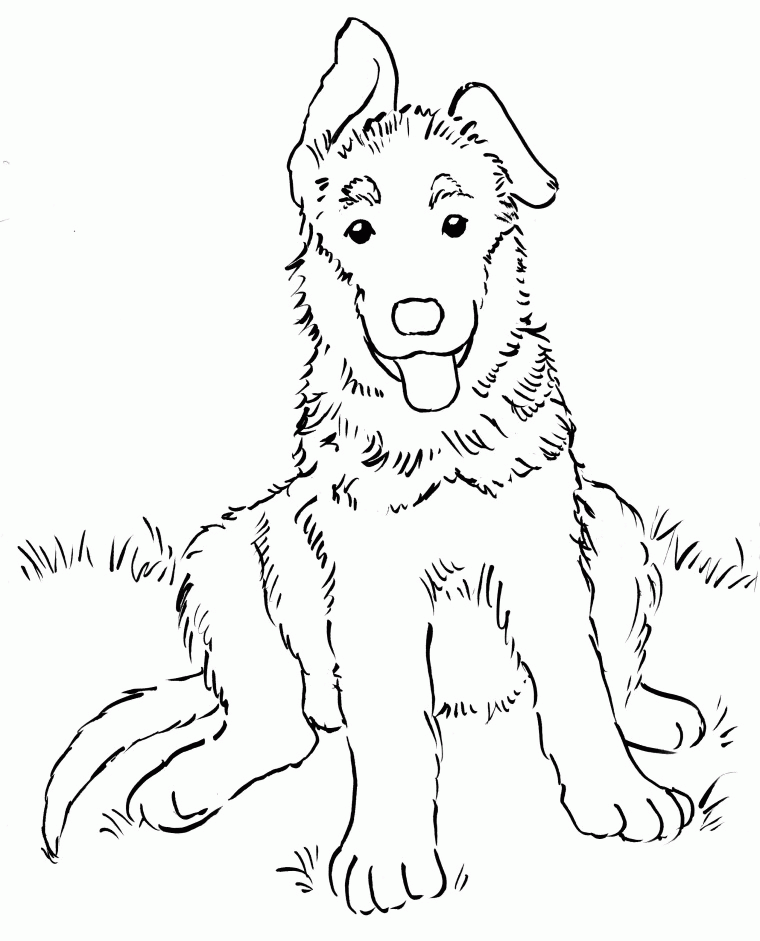 German Shepherd Puppy Coloring Page