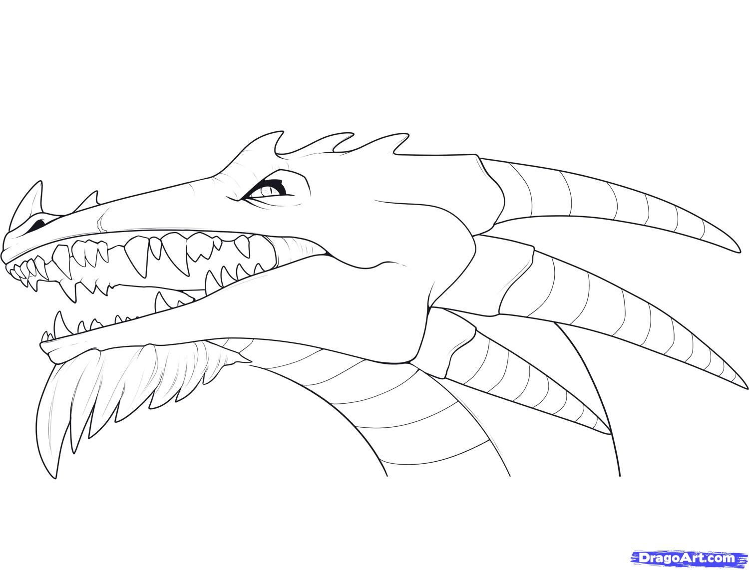 Featured image of post Dragoart How To Draw A Dragon Head How to draw dragon scales and other details