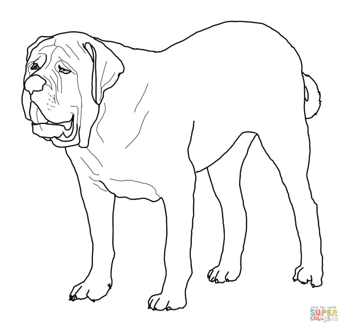 English Bulldog Printable | Coloring Pages for Kids and for Adults