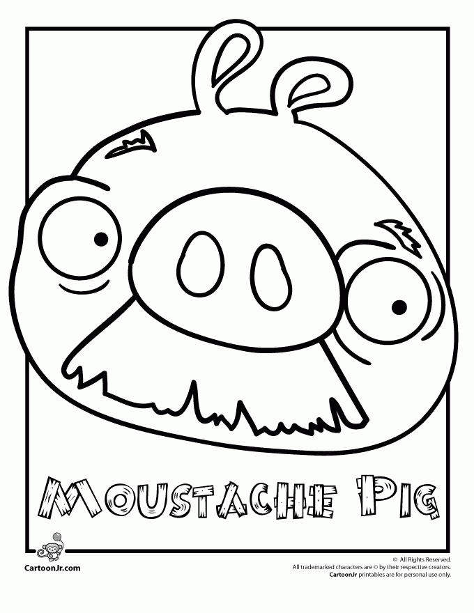 Angry Birds Space Coloring Pages Of All Birds Images  Pictures