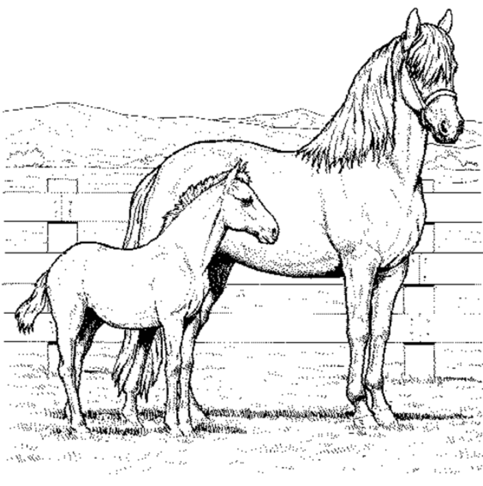 free-horse-coloring-page-download-free-horse-coloring-page-png-images