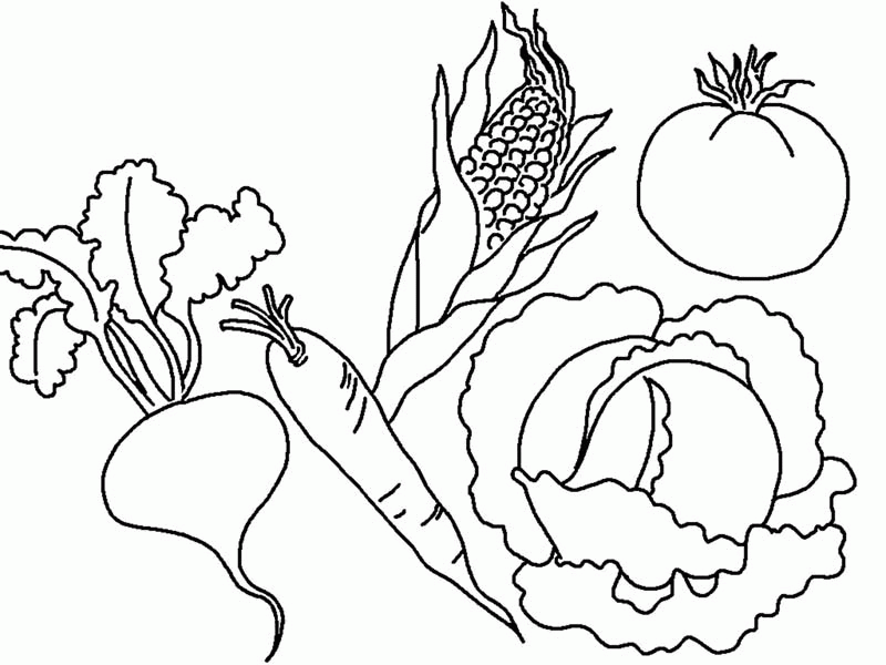 Various Types of Vegetables Coloring Page | Kids Play Color