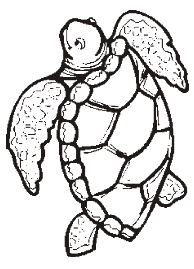 Coloring Pages: Turtles | Free Printable Coloring Pages