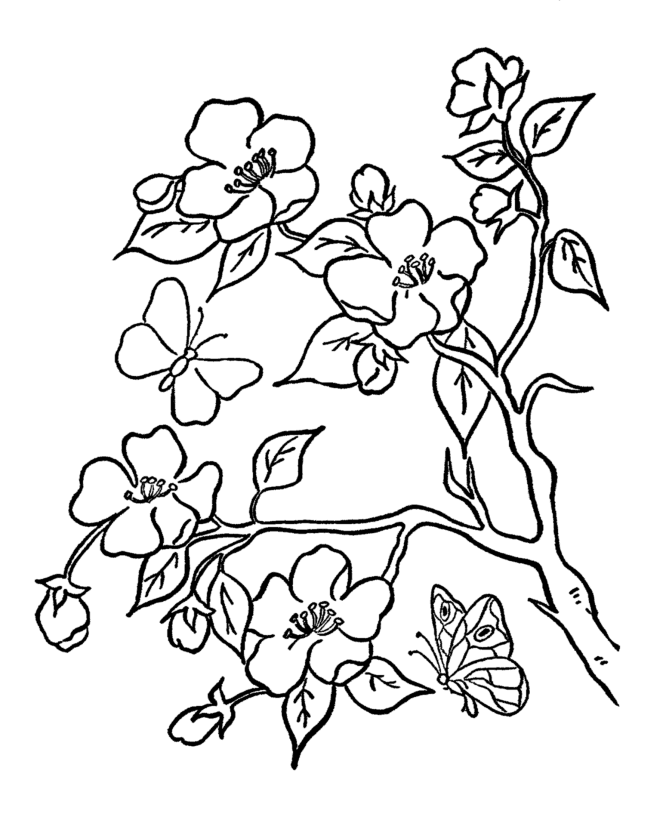 Summer Coloring - Kids Summer Trees and Flowers Coloring Page