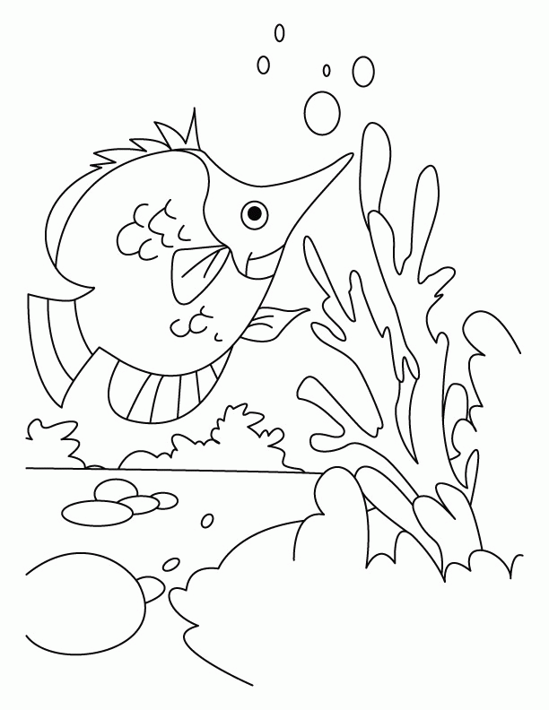 Fish hunting her dish coloring pages | Download Free Fish hunting