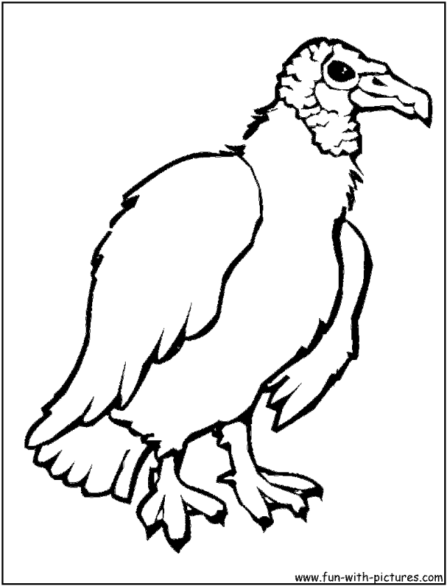 Vulture Coloring Pages Coloring Book Area Best Source