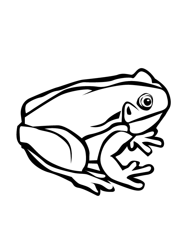 Tree Frog Coloring Page | Clipart library - Free Clipart Images
