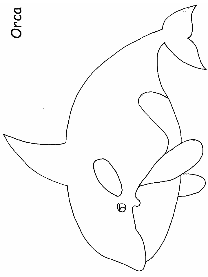 Ocean Orca Animals Coloring Pages  Coloring Book