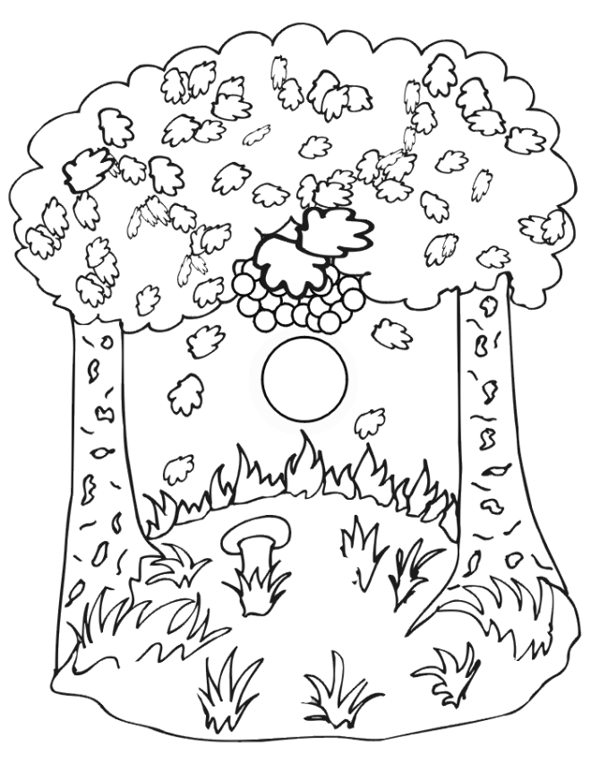 Coloring Pages Of Trees | Free Printable Coloring Pages