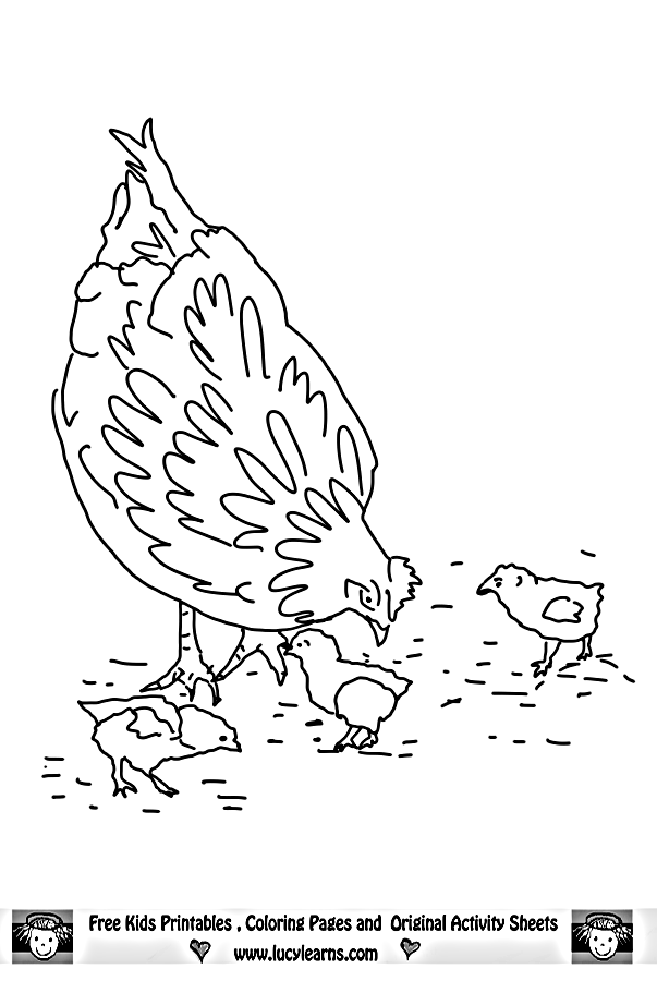 Hen Coloring Page,Lucy Learns Chicken Coloring Page Collection