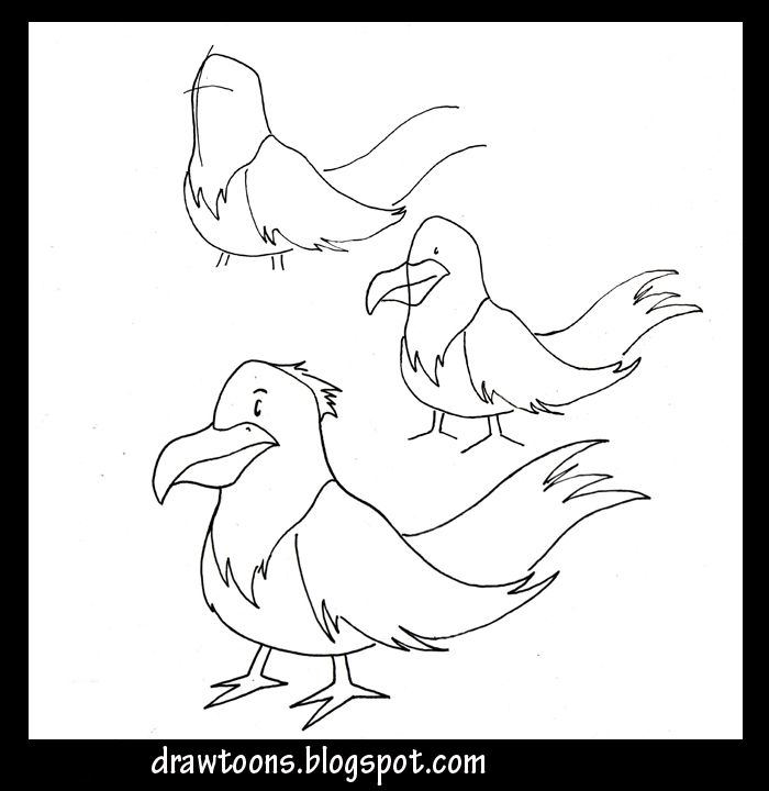 How to Draw Cartoons: How to draw a bird 3