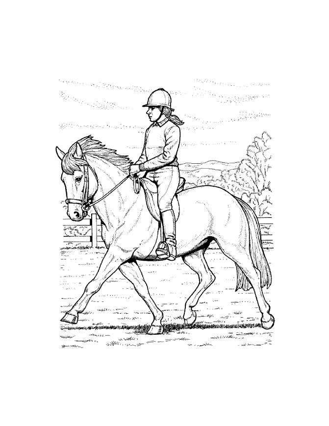 horse-jumping-coloring-pages
