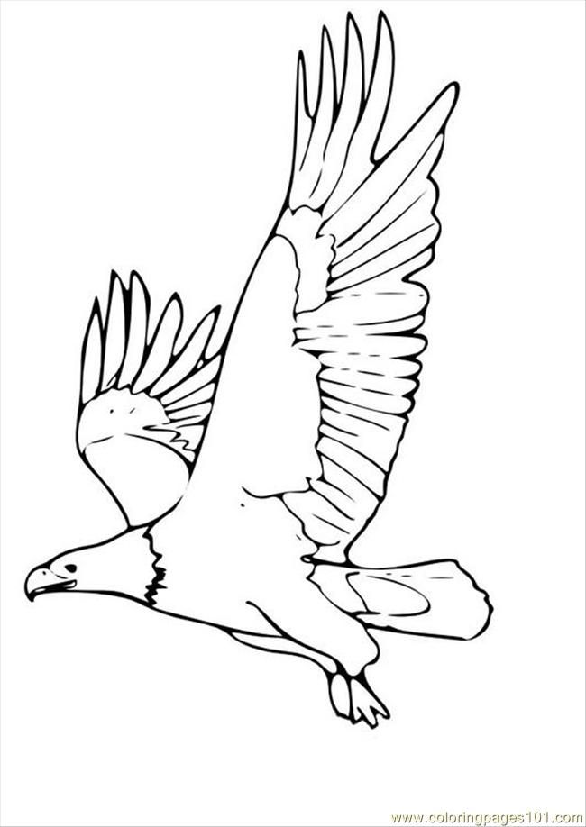 Coloring Pages Tures Pages Photo Eagle P (Birds  Eagle)| free printable