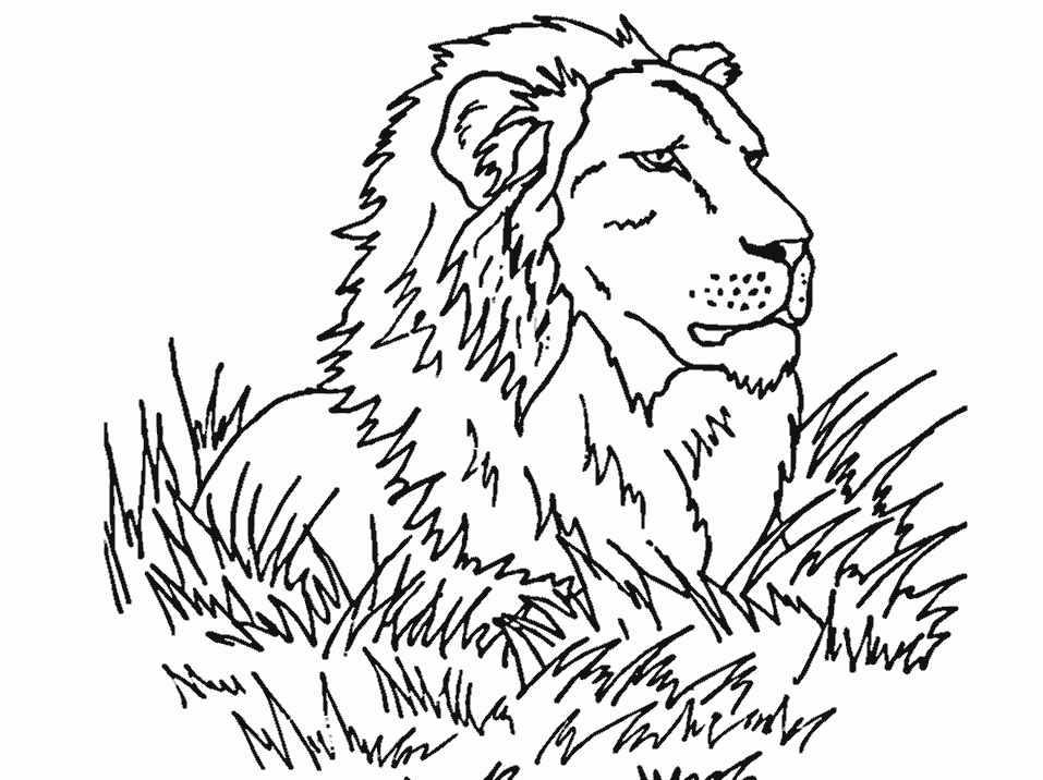 Free Printable Lion 