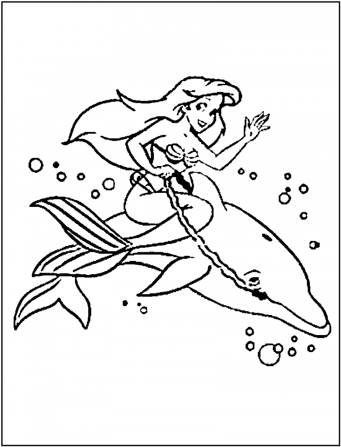 Dolphin Coloring Pages For Girls com