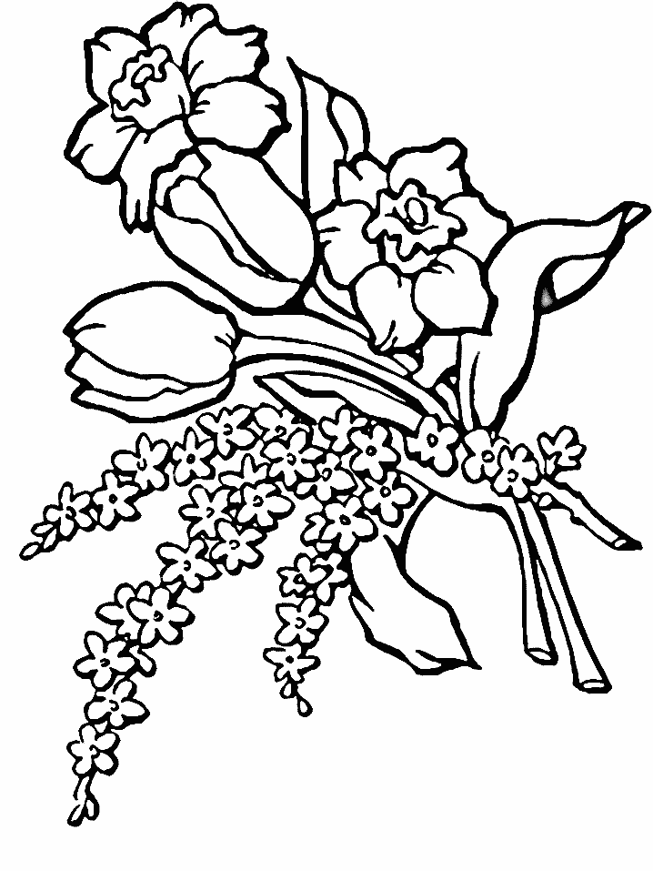 spring flower coloring page | Coloring Picture HD For Kids