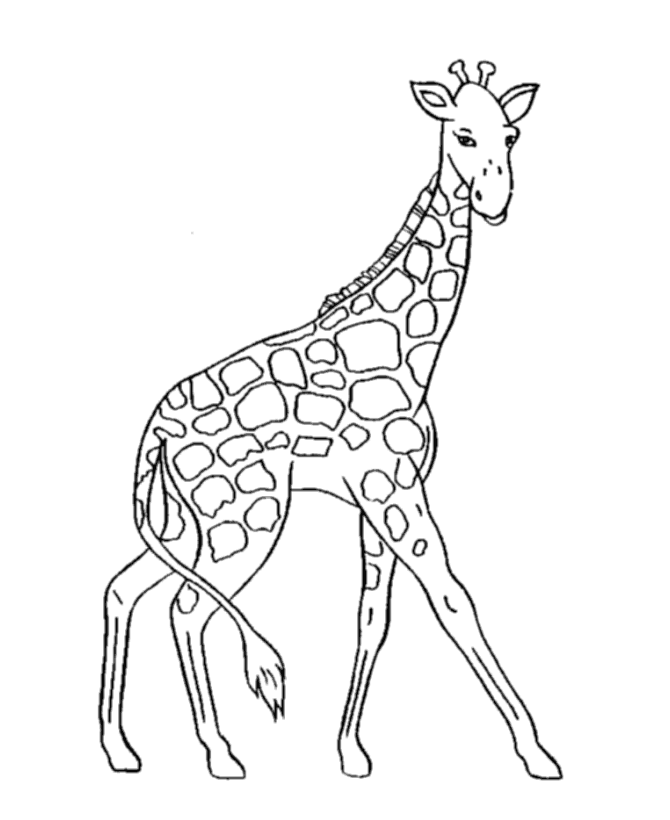Planet Coloring Pages  