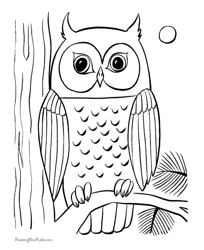Free printable owl coloring pages