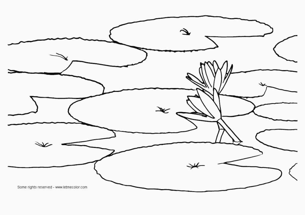 Free Coloring Pages Of Water, Download Free Coloring Pages Of Water png