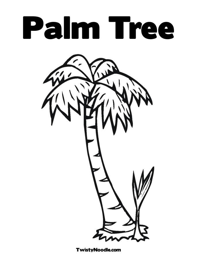 Coloring Pictures Palm Trees