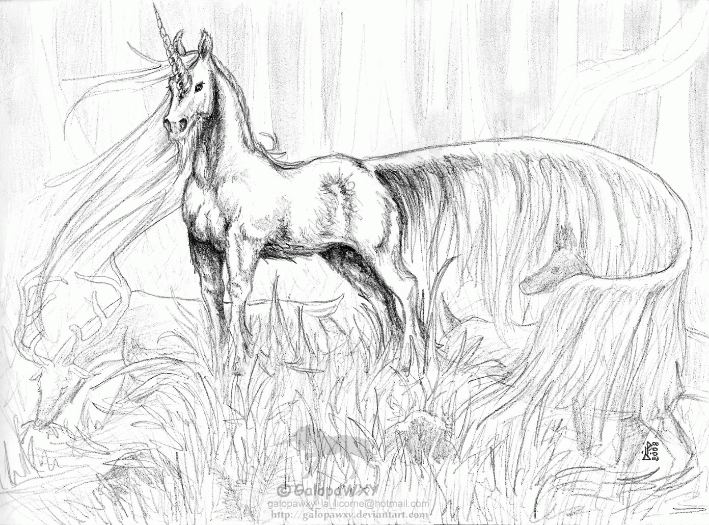 realistic unicorn colouring pages   Clip Art Library